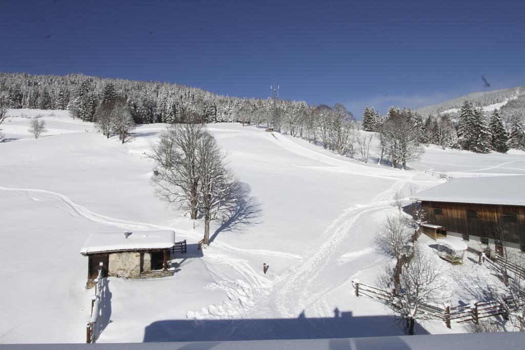 Eberharthof Apartamento Saalbach-Hinterglemm Exterior foto