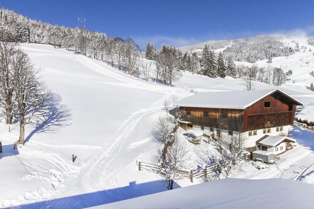 Eberharthof Apartamento Saalbach-Hinterglemm Exterior foto